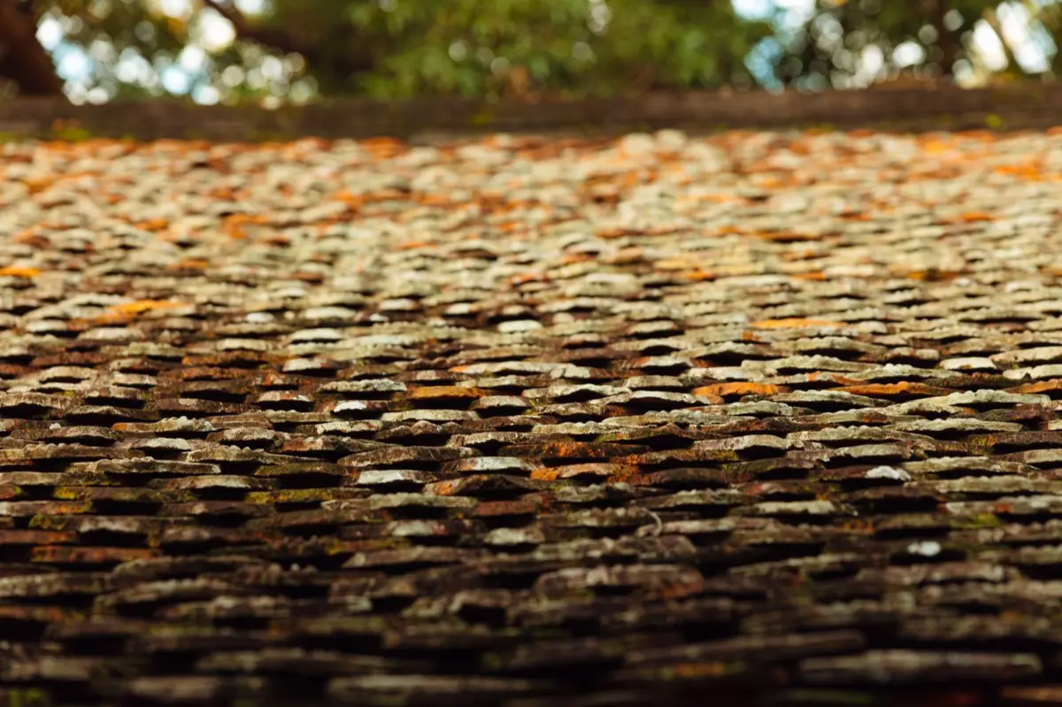 Aging shingle roof with moss growth and granule loss in League City, TX